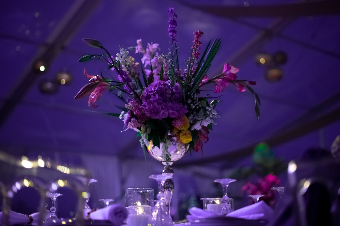 featured-portfolio-03 a-vase-filled-with-purple-flowers-on-top-of-a-table-cgnnydo1pcy